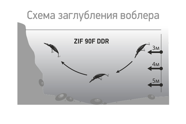 zif2.jpg