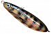 Колеблющаяся блесна незацепляйка RAPALA Rattlin' Minnow Spoon 08 /PEL / 8см, 16гр.
